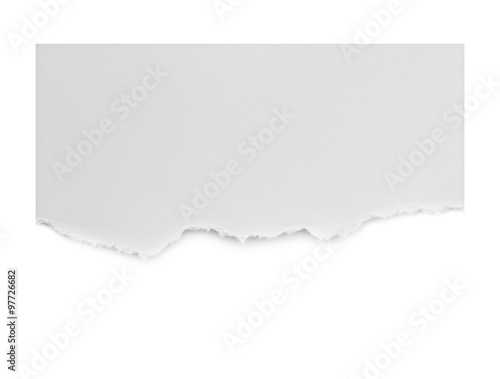 Картината върху платно Pieces of torn paper