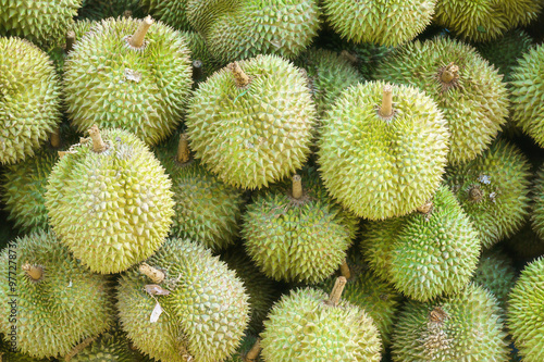 Canvas Print Bunch of fresh raw greenish durians in market display taken from