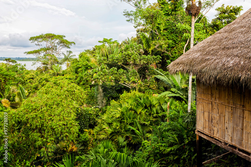Eco Loge, National Park Yasuni