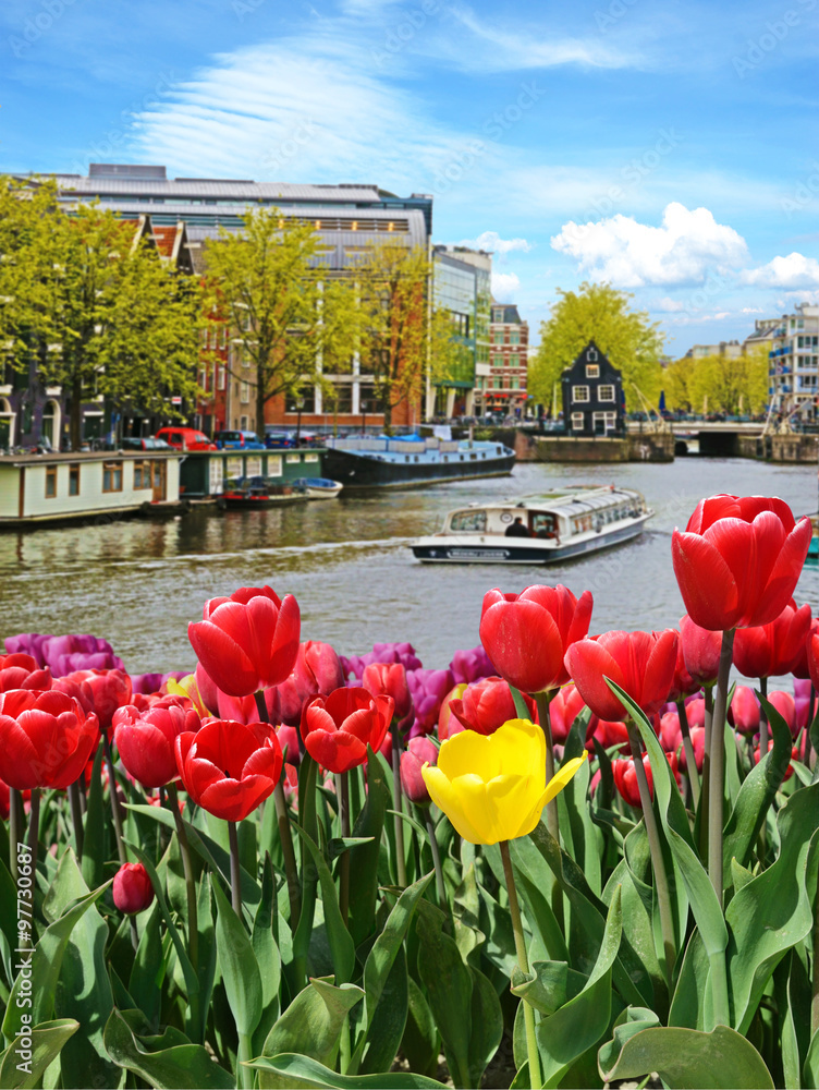 Beautiful cityscape with tulips, canals, boat and exotic buildin