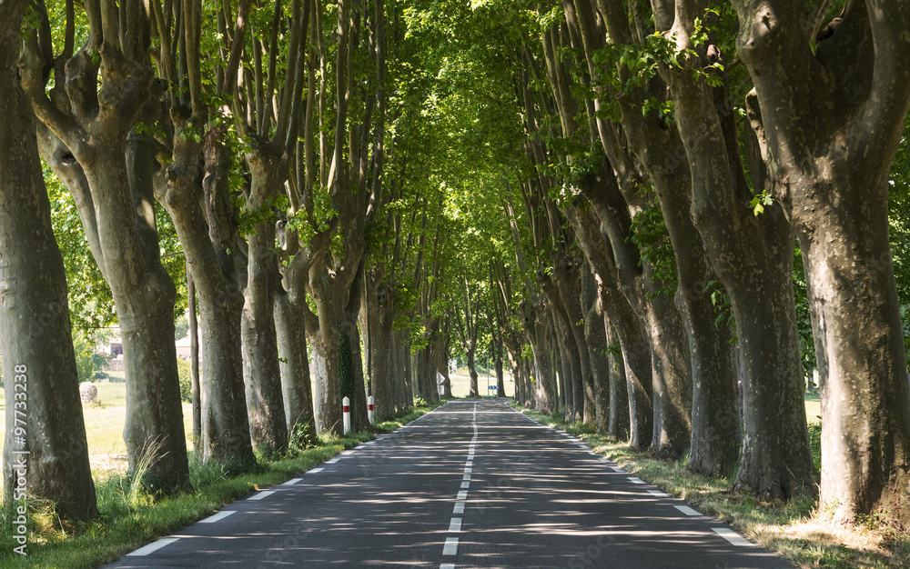 Road in Provence (France)