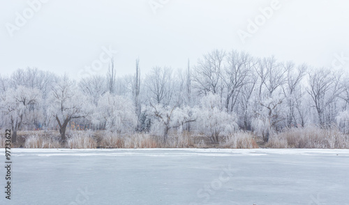 Winter time in forest lake.  © Ryzhkov Oleksandr