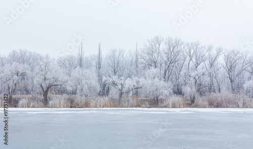 Winter time in forest lake. 