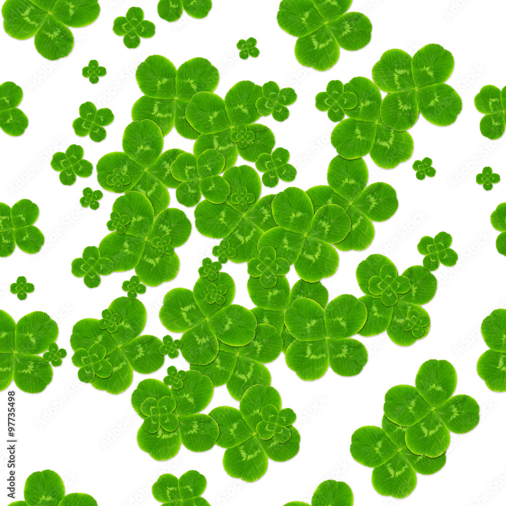 leaf clover symbol of good luck leaf clover symbol of good luck