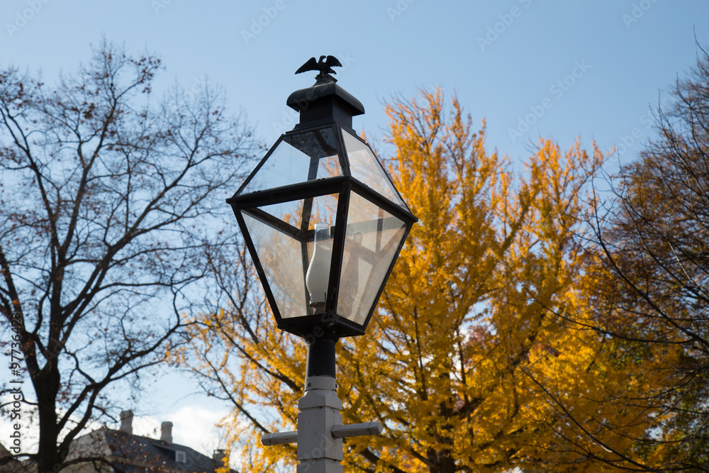Fall Lamp Post