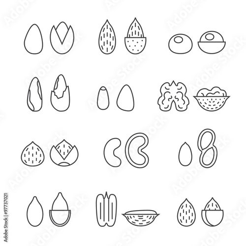 Nuts and seeds vector set. Modern outline minimalistic design. Icons set.