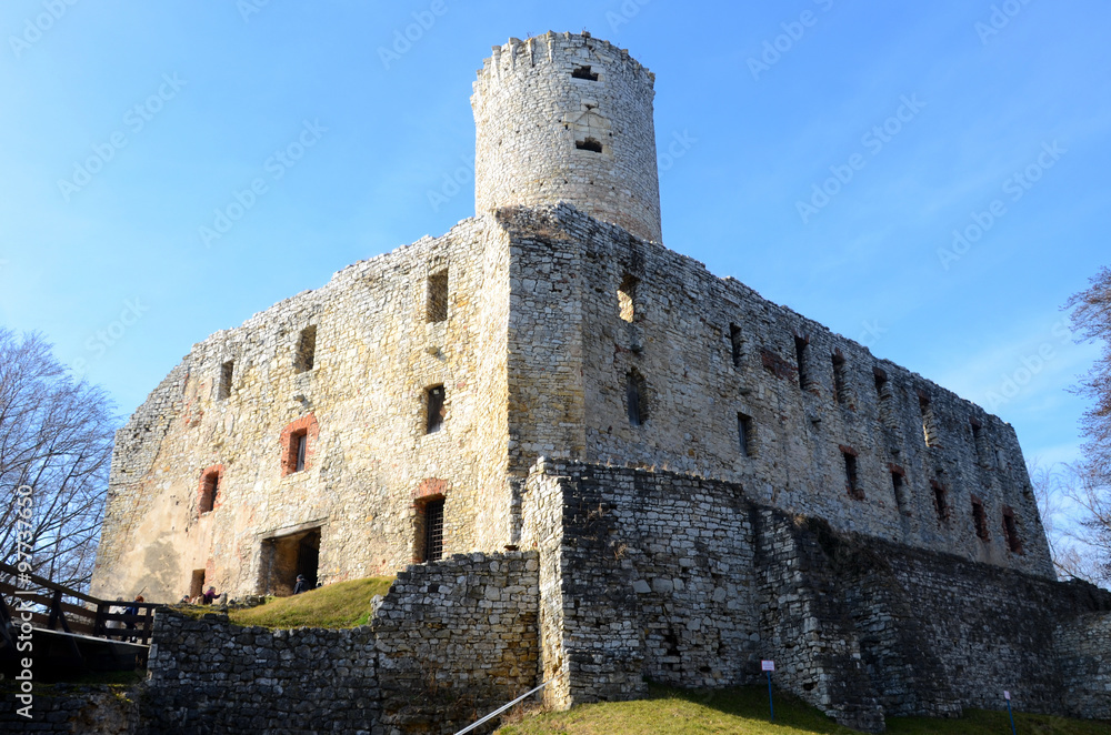 Castle Lipowiec in Poland