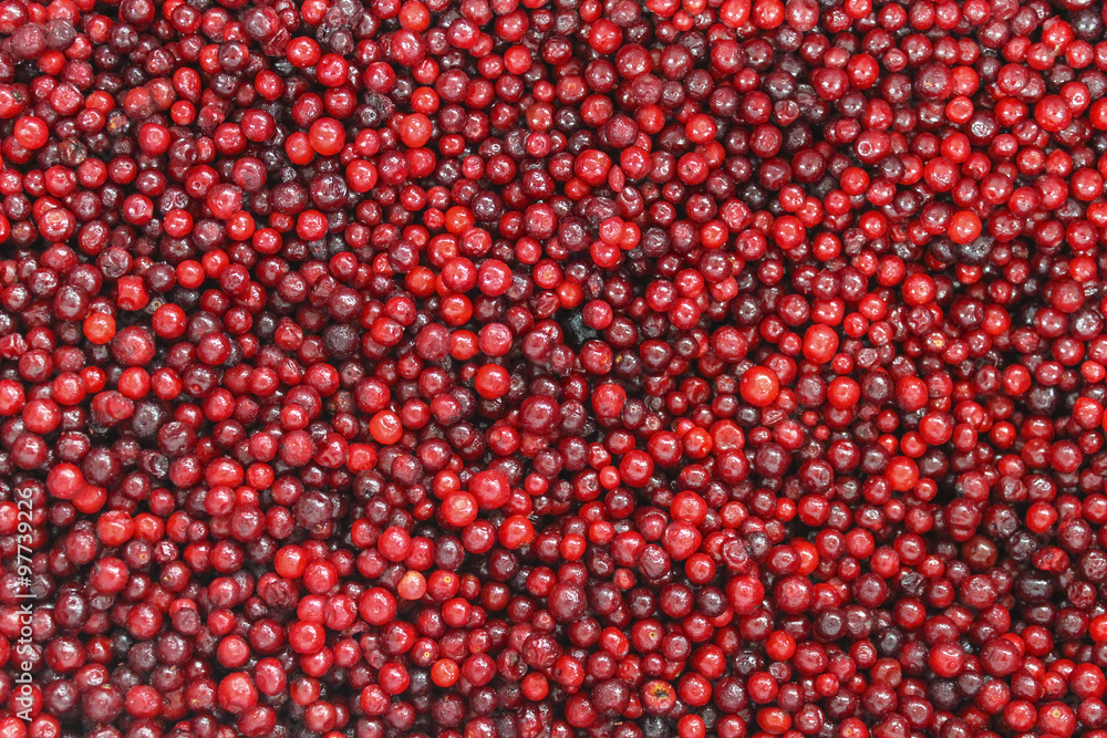 Lingonberry Lingonberry