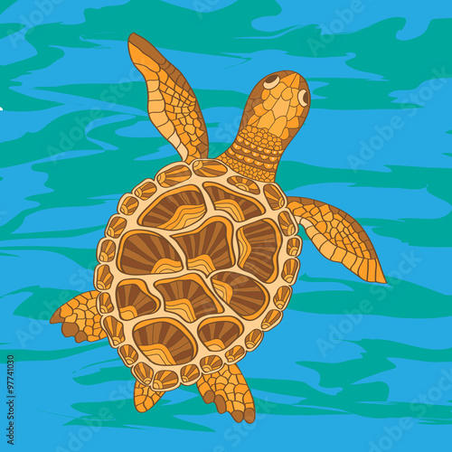 sketchy sea turtle in cartoon style