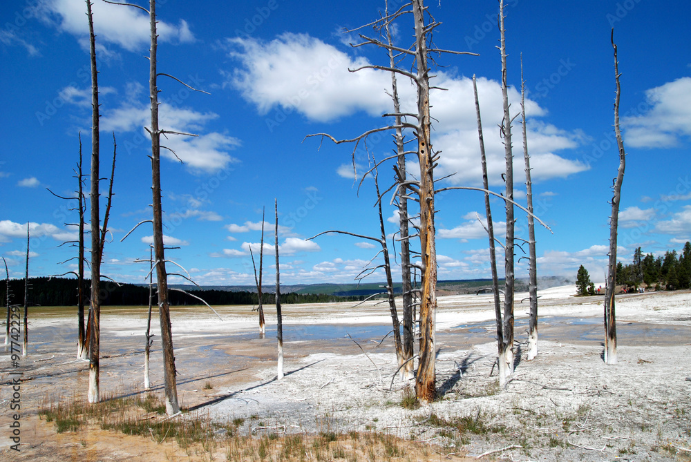 Landschaft im Yellowstone National Park, Wyoming, USA