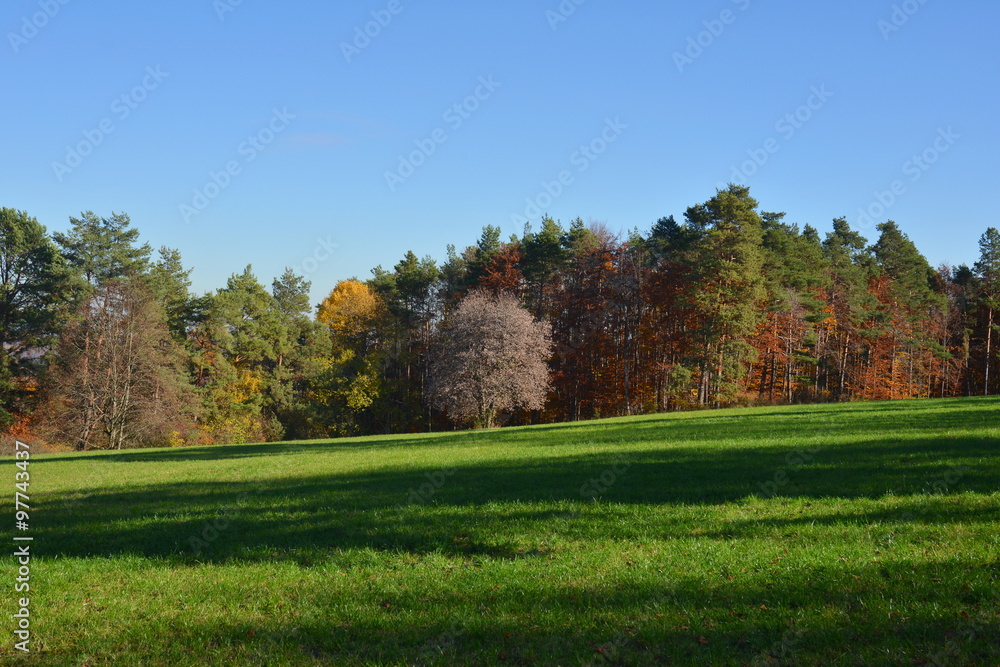 Herbstliche Felder und Wälder