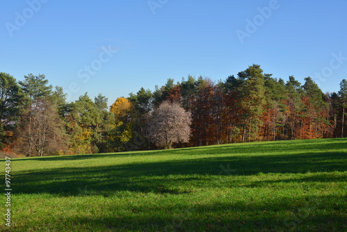 Herbstliche Felder und Wälder