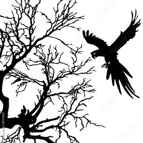 ara and tree black vector silhouette