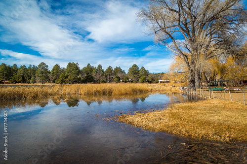 Εκτύπωση καμβά Arizona wetlands and animal riparian preserve.