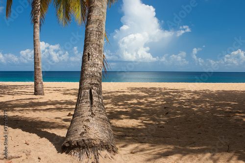 Beach of Grande Anse, Deshaies, Guadeloupe