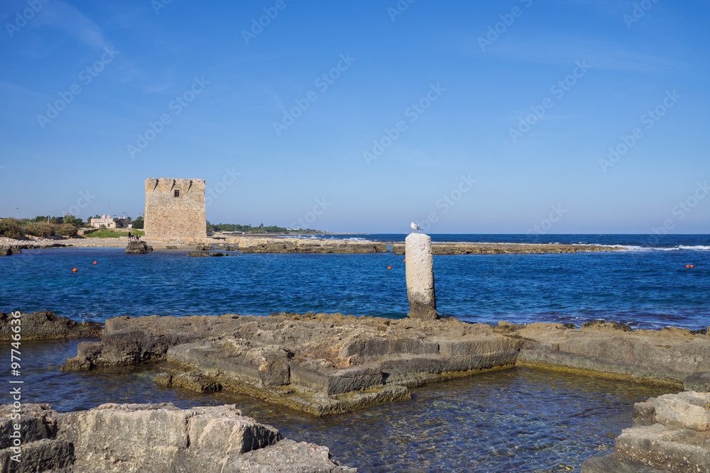 Coast of Polignano a Mare with an ancient tower and a seagull in the foreground - Apulia, Italy