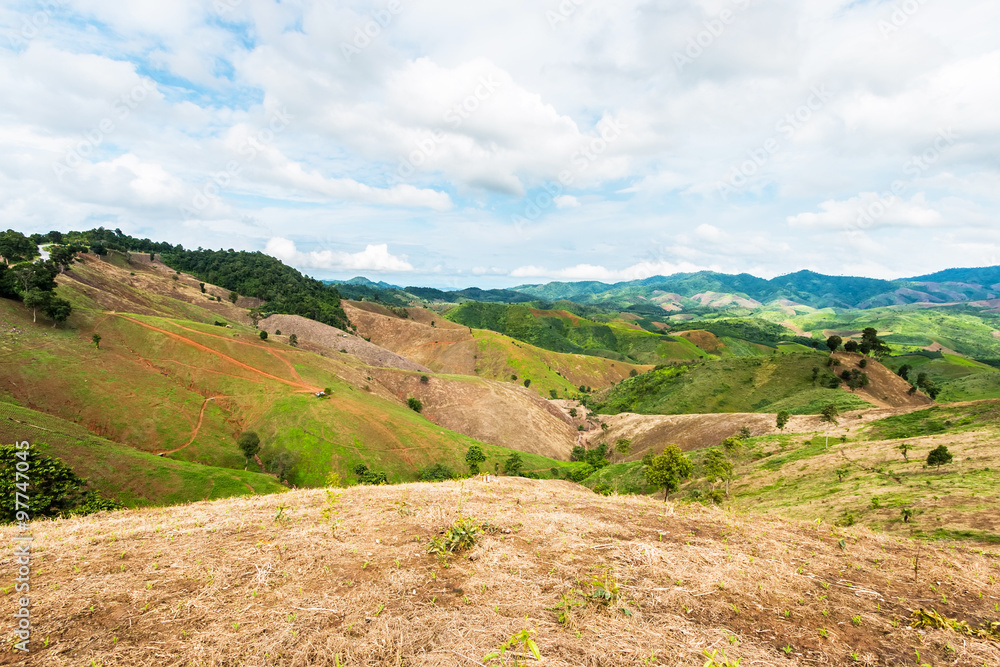 Naklejka premium agriculture on Mountain, Nan Province, Northern of Thailand.