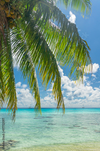 Paradise view of Rangiroa atoll  French Polynesia