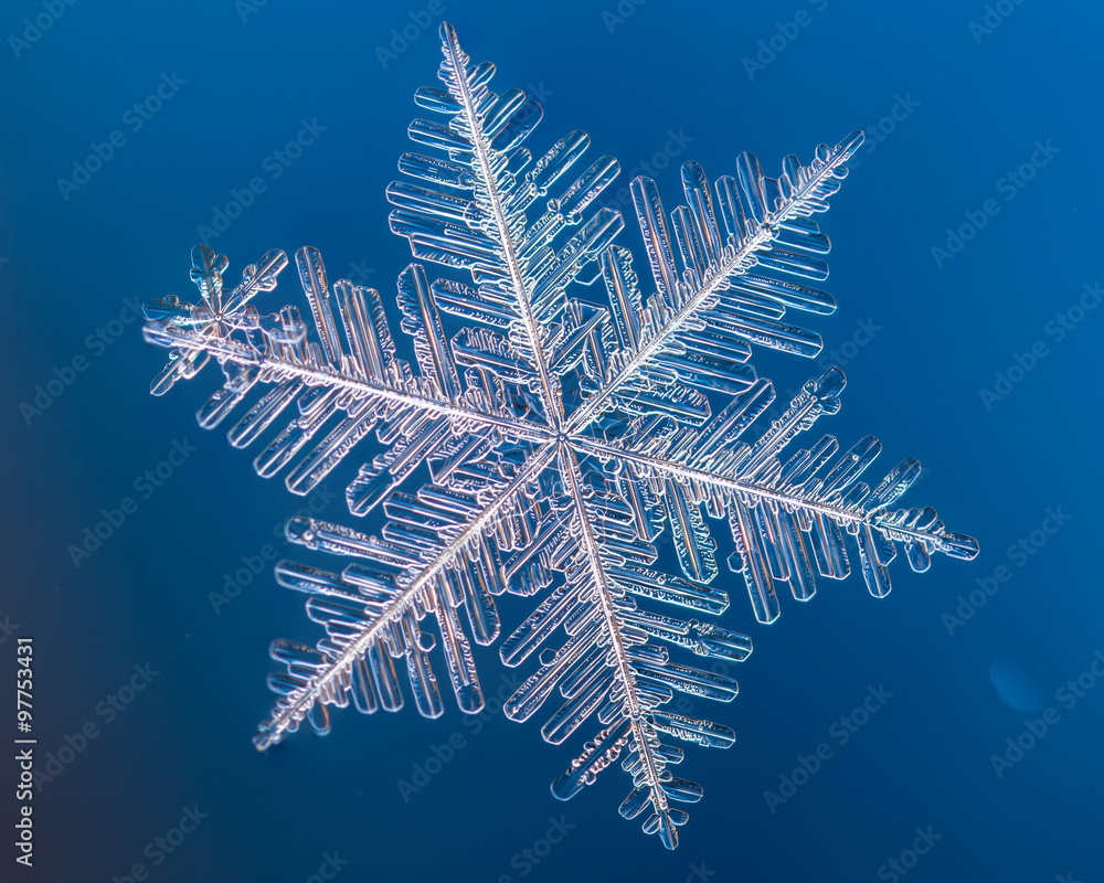 Fototapeta premium a real snowflake macro lies on a blue background, as if flying in sky