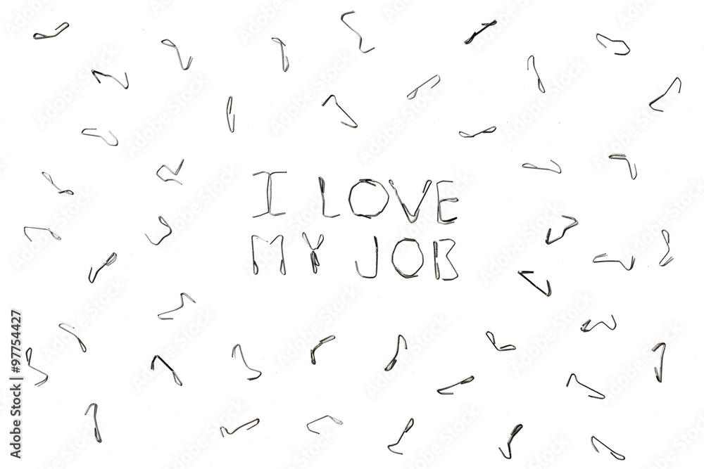 I love my job. I love my job.