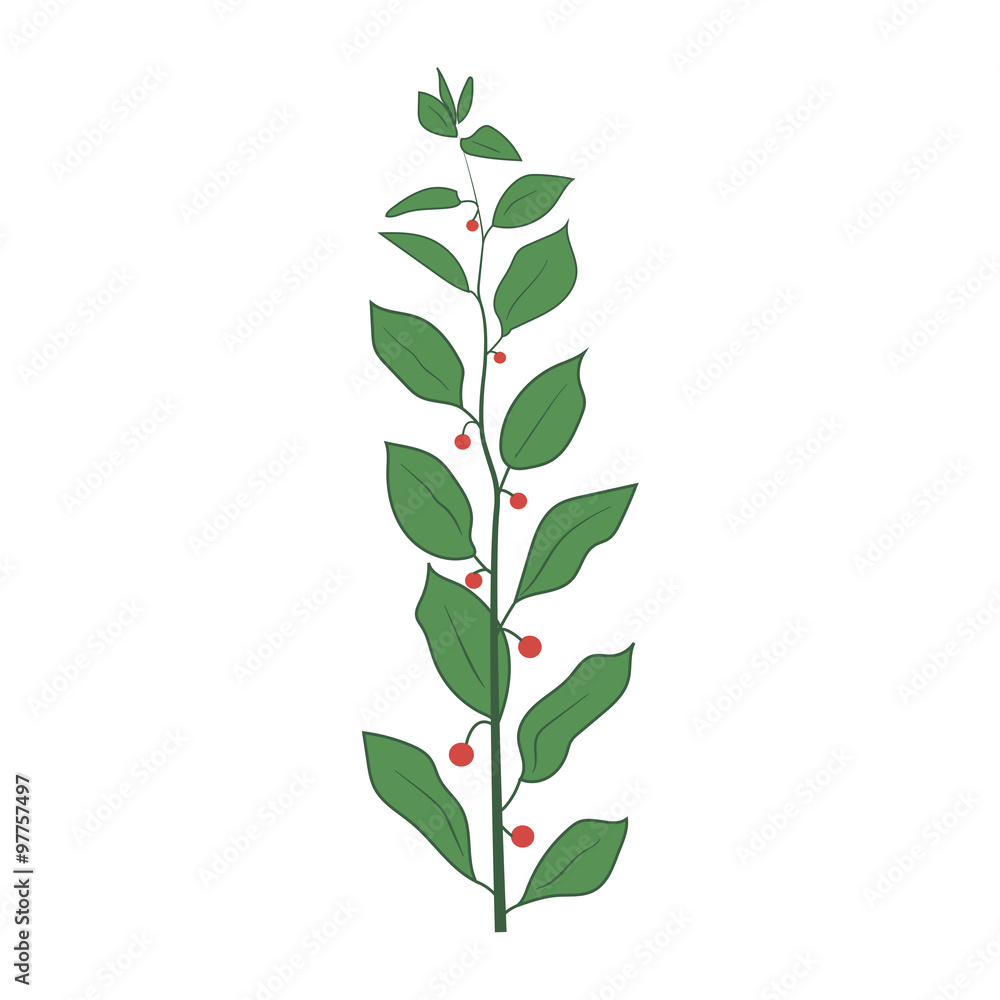 The image of green plants on a white background