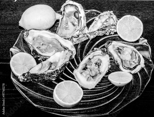 oysters  still life photo