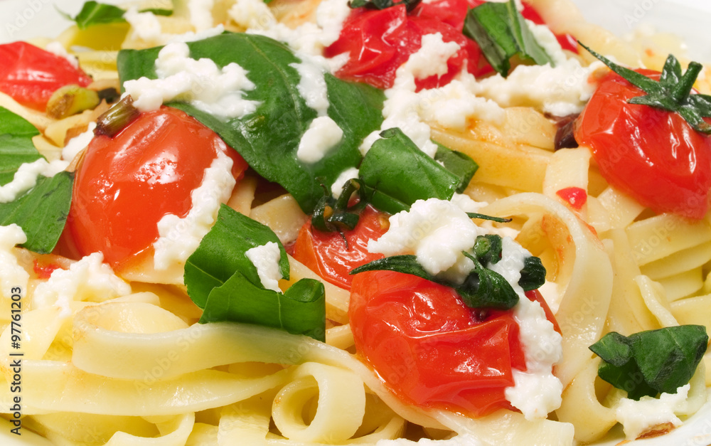 Pasta Collection - Fettucini with tomatoes, basil and mozarella