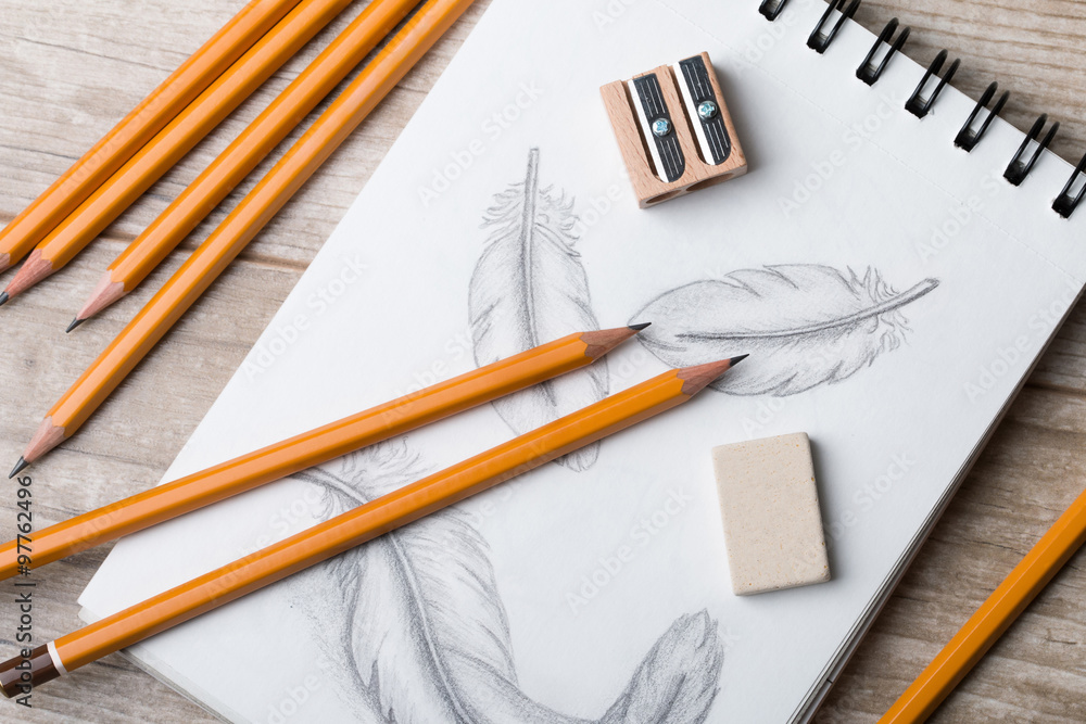 Close-up view of feather sketch