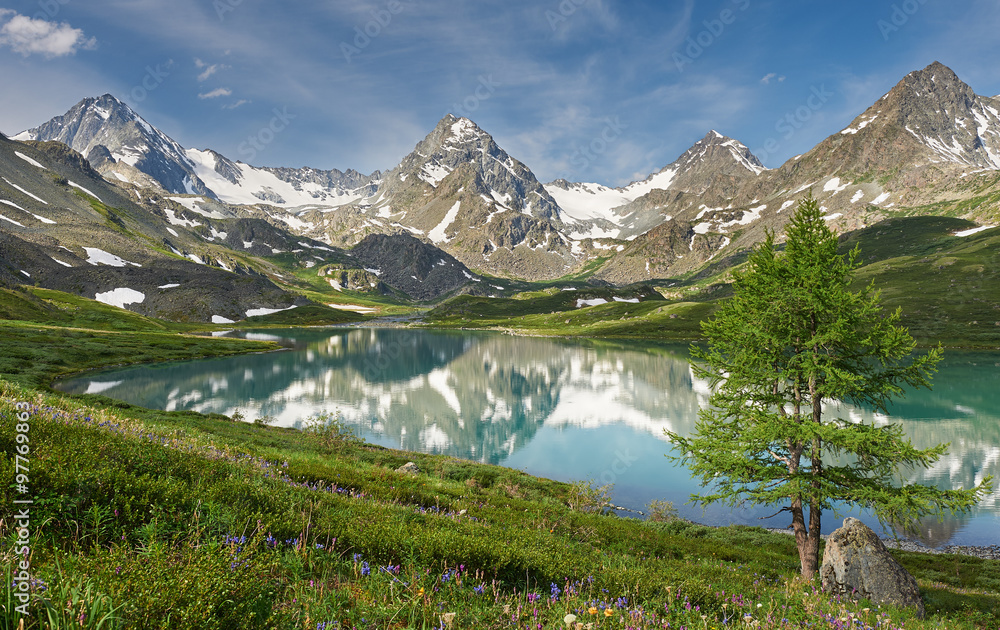 Fototapeta premium Beautiful summer landscape, Altai mountains Russia.