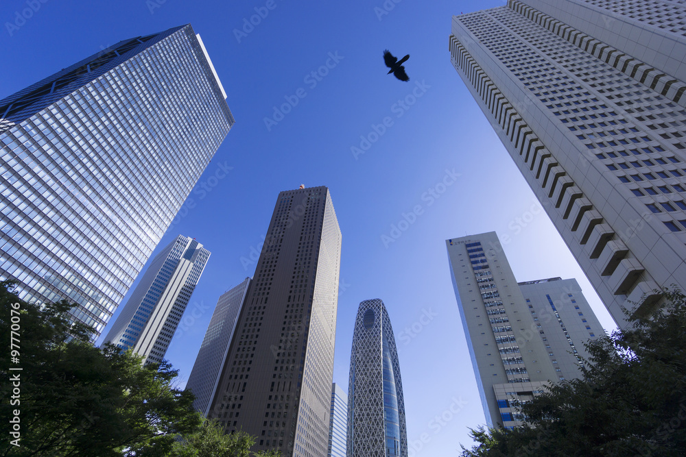 新宿高層ビル群　快晴青空　　羽ばたく鳥　超広角魚眼レンズ