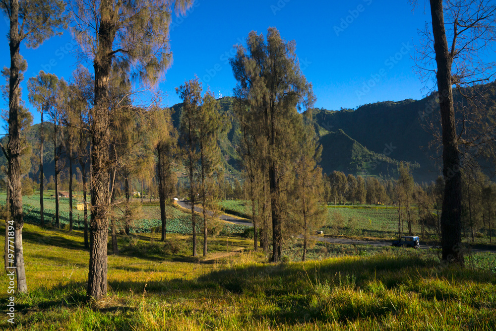 Fototapeta premium Cemoro Lawang during Sunrise, blue sky with orange and yellow colour