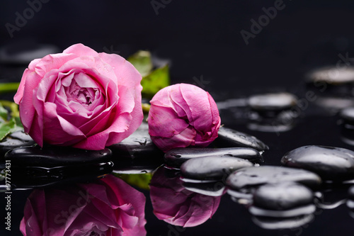 Lying down pink rose with therapy stones  photo