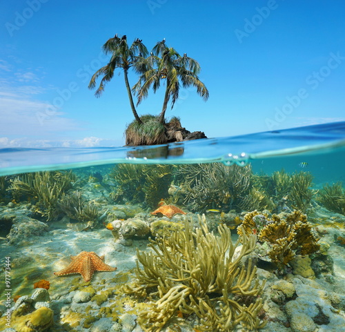 Split coconut trees islet and corals underwater