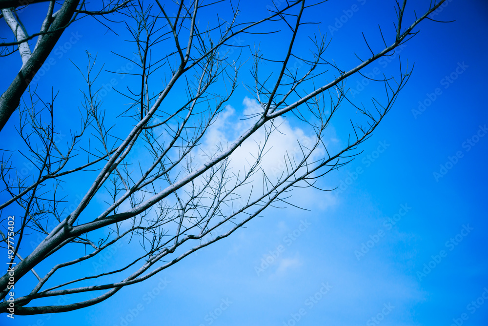 Obraz premium During the fall - Stock Image 