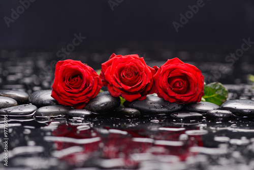 Still life with rd three rose and wet stones