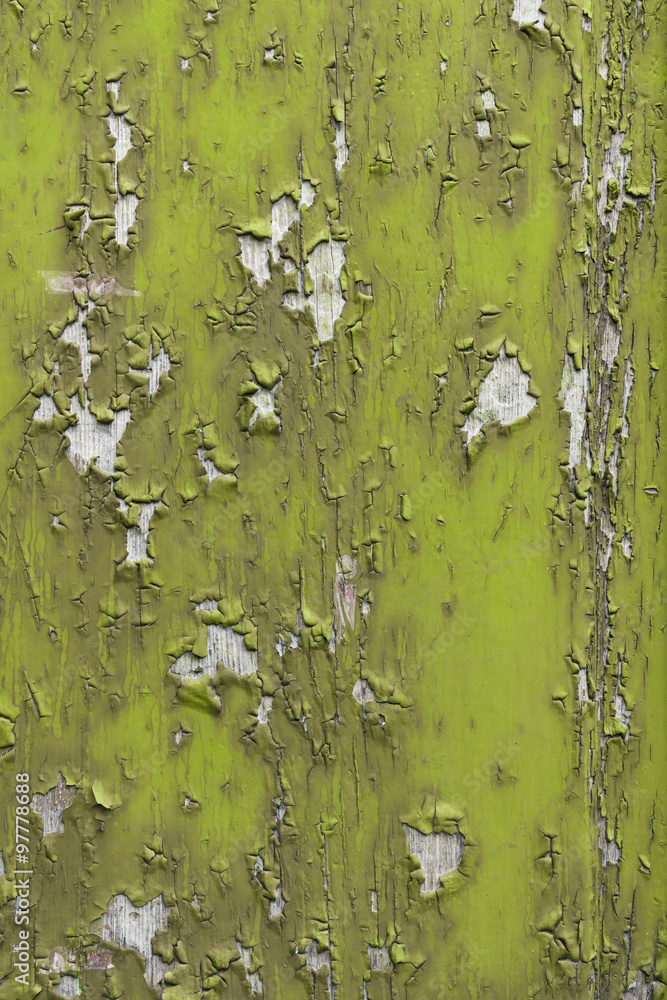 Green peeling paint Green peeling paint