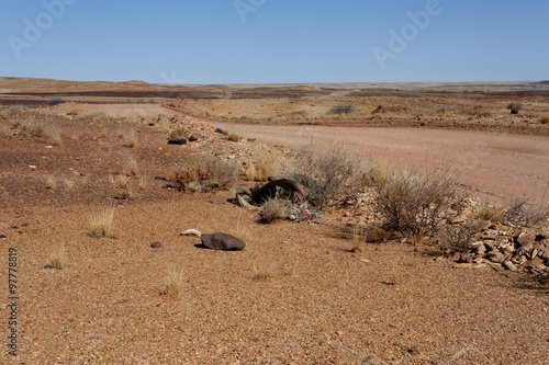 fantrastic Namibia desert landscape