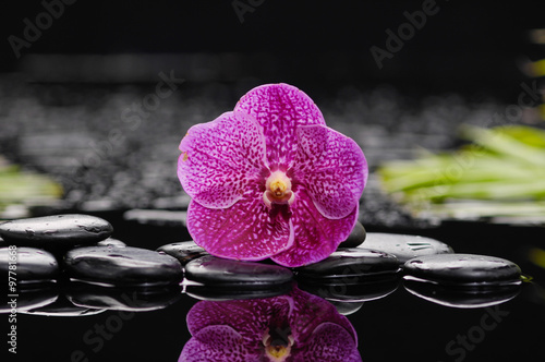 Single orchid ,palm with pebbles and bamboo on wet background