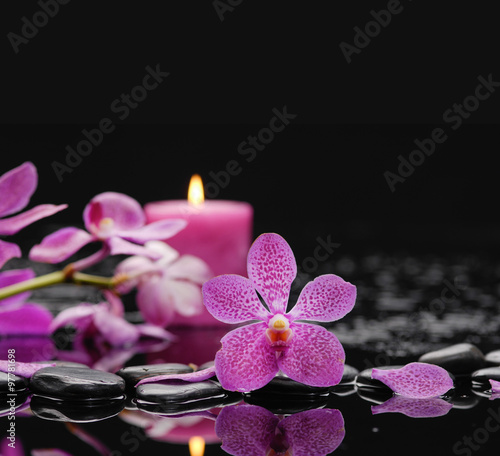 Beautiful pink orchid with candle and therapy stones 