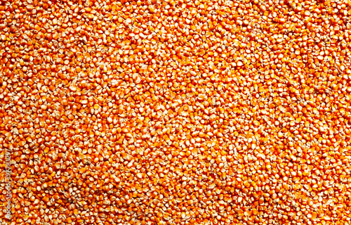 corn seeds background