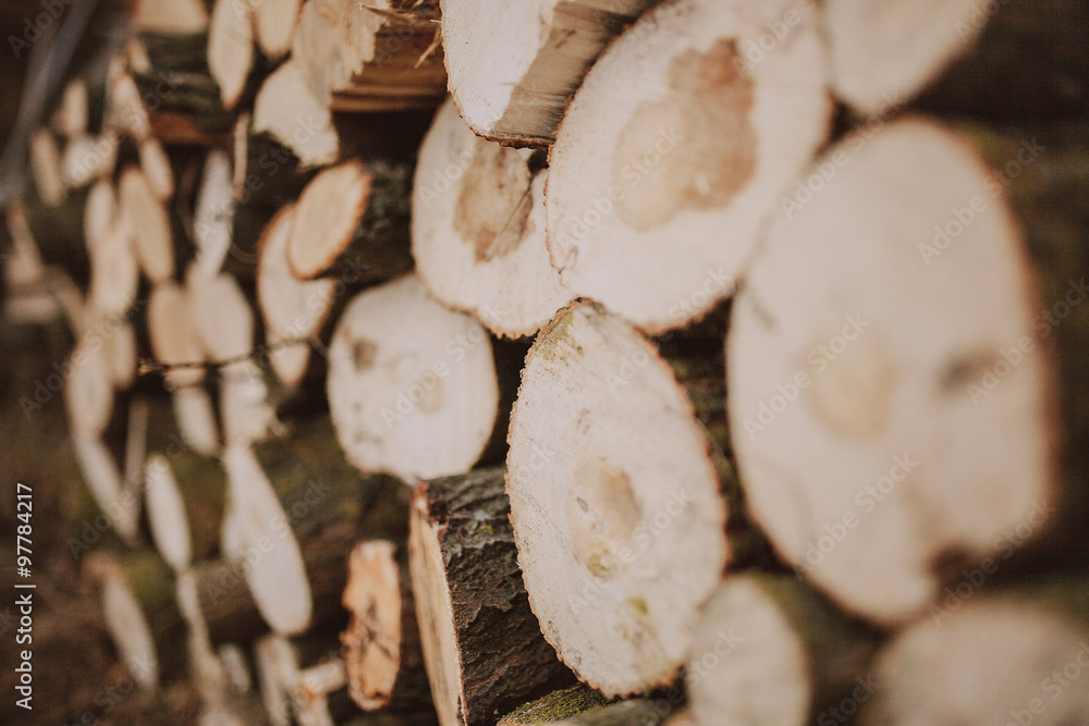Background of dry chopped firewood logs in a pile Background of dry chopped firewood logs in a pile