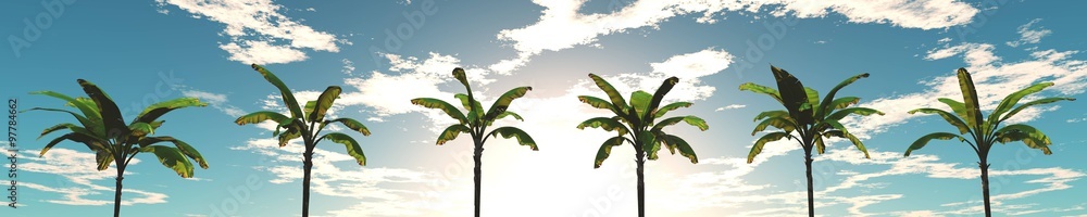 Naklejka premium view of palm trees in the sky, banner