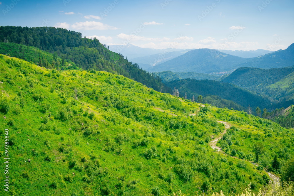 Vikos gorge in the Zagoria region of Greece. Vikos Gorge, Greece