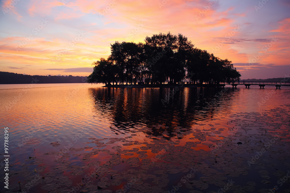 beautiful sunset at the lake
