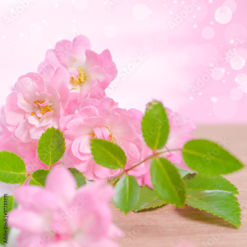 beautiful spring concept of bouquet rose flowers on wooden and p