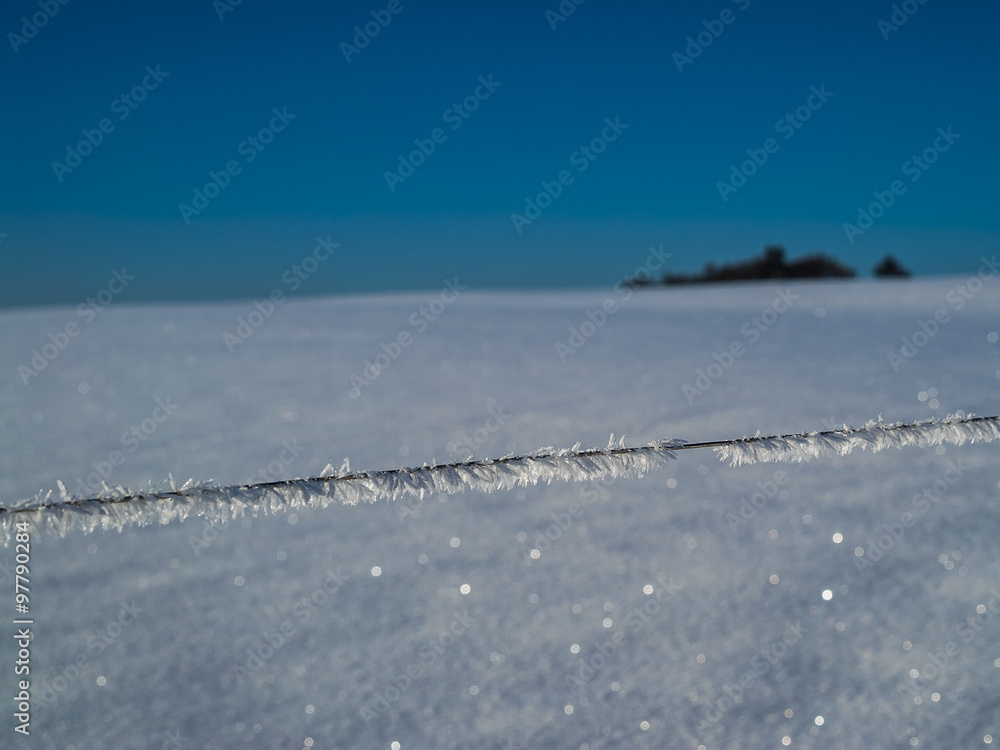 Eiskristalle auf einem Zaun verzaubern Winterlandschaft