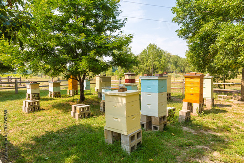 Wood Bee Hives on Cinder Blocks © dbvirago