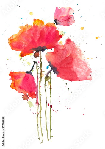 Red poppies, watercolor painting