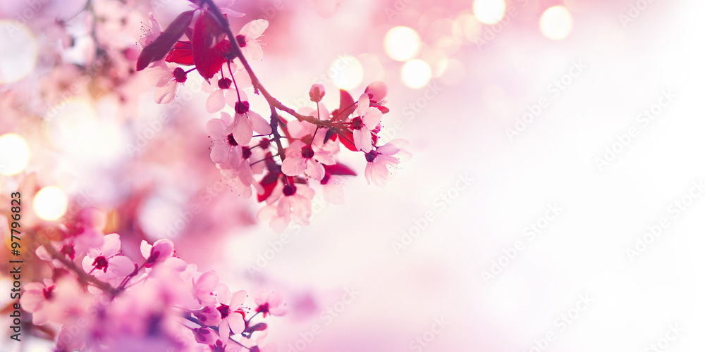 Naklejka premium Wiosna kwiat granicy z różowym kwitnącym drzewem