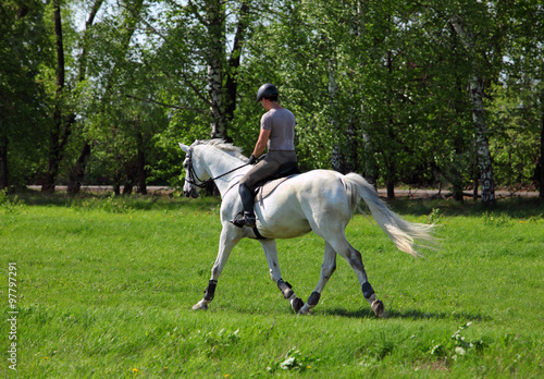Elegant equestrian man riding horse © horsemen
